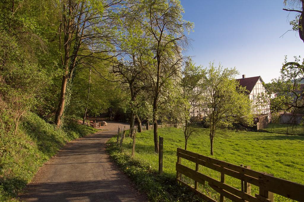 Hotel Am Lingelbach Knullwald Bagian luar foto