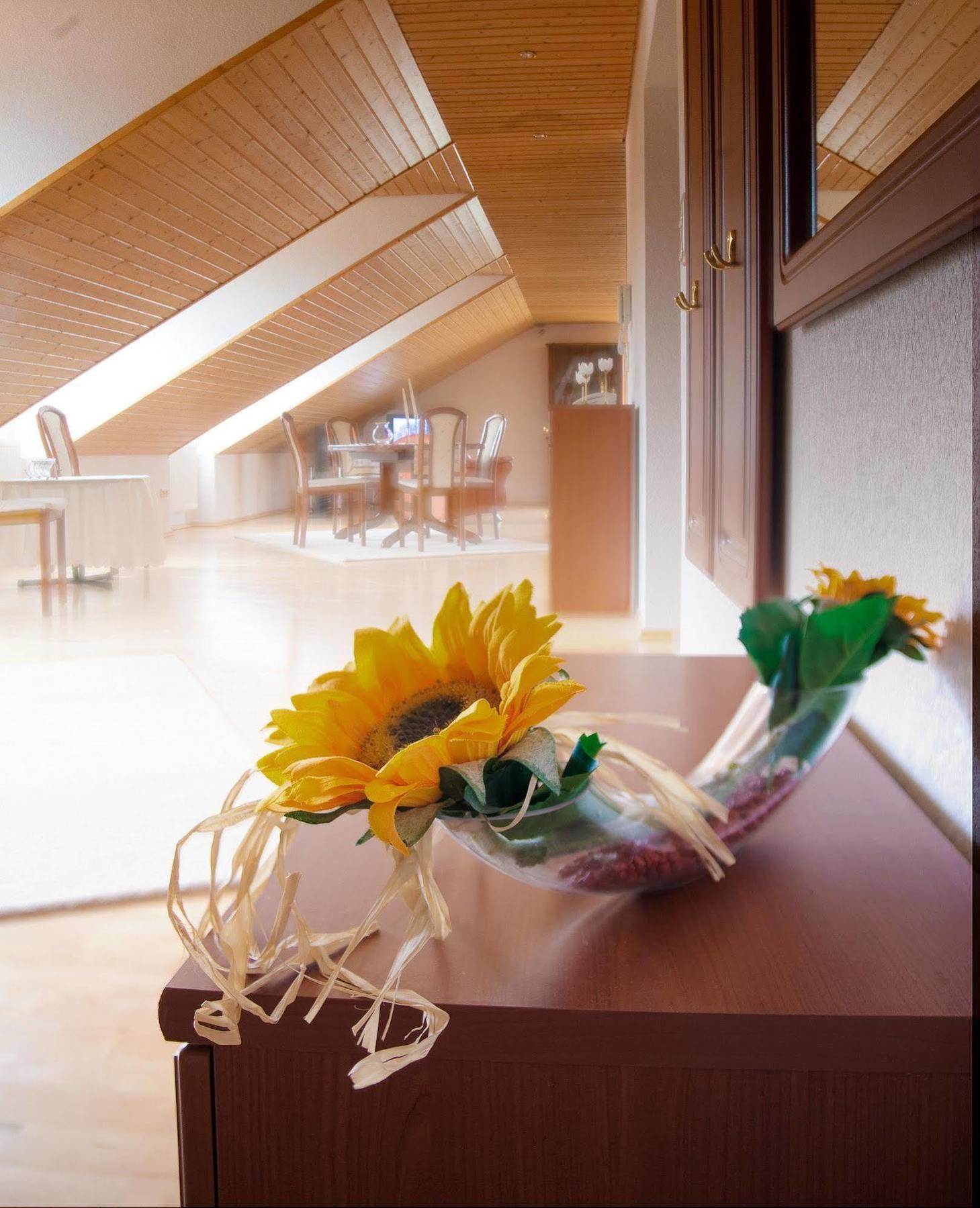 Hotel Am Lingelbach Knullwald Bagian luar foto